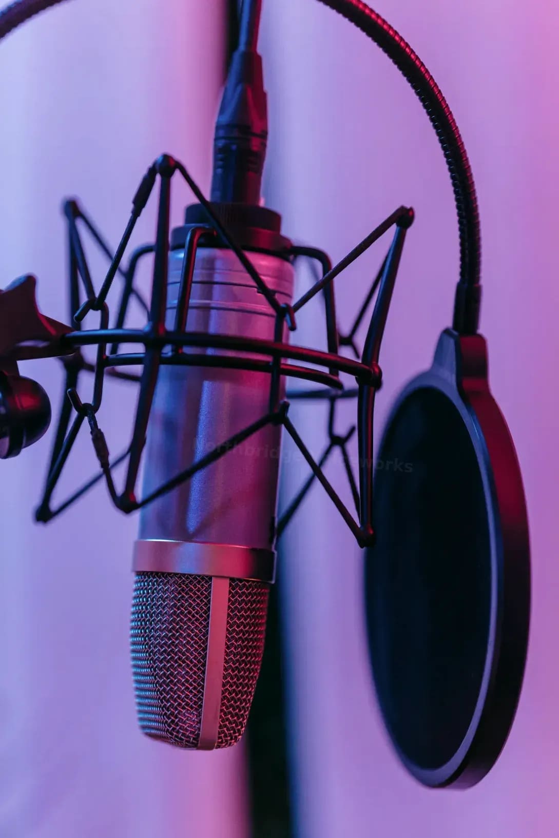 Voice casting and session planning